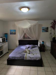 1 dormitorio con 1 cama con dosel en Studio BELO HORIZONTE, Grande terrasse avec vue sur les Pitons, en Le Robert
