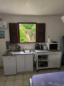 cocina con encimera, microondas y ventana en Studio BELO HORIZONTE, Grande terrasse avec vue sur les Pitons, en Le Robert