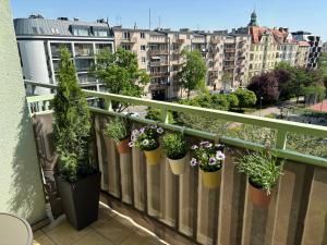 Balkón alebo terasa v ubytovaní Apartament WILDA