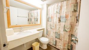 een badkamer met een wastafel, een toilet en een spiegel bij THE INN-Pittsburgh in Pittsburgh +19 foto's