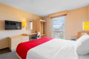 Un dormitorio con una cama grande y una ventana en City Express by Marriott Ciudad Obregon, en Ciudad Obregón