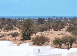 uitzicht op een woestijn met palmbomen en struiken bij Djerba Advent in Bou Menjel