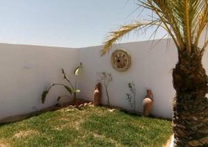 a room with a palm tree and a wall with plants at Djerba Advent in Bou Menjel