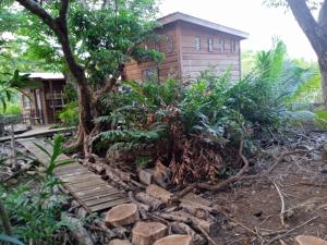 ein Haus mit einem Holzsteg davor in der Unterkunft casa de huéspedes selvatica in Utila