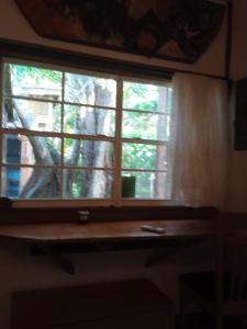 Una ventana en una habitación con un árbol detrás. en casa de huéspedes selvatica, en Utila