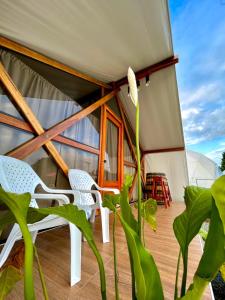 a house with two chairs and a plant at Eco Cabañas Montana in Santa Helena