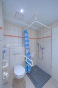 a bathroom with a toilet and a shower in it at Strandläufer Classic 211 in Granzow