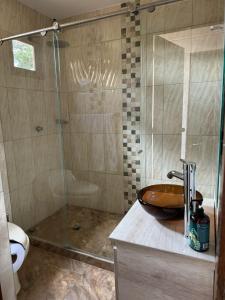 a bathroom with a sink and a glass shower at FINCA VILLA LORA GIRARDOTA in Girardota