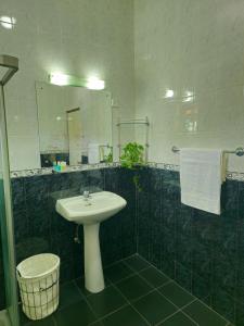 y baño con lavabo y espejo. en The Loris Manor, en Nuwara Eliya