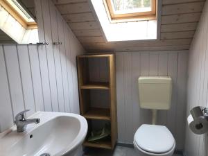 a bathroom with a sink and a toilet and a skylight at Seeschwalbe Classic 226 in Mirow +7 photos