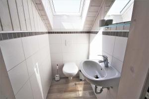 a bathroom with a sink and a toilet at Seeschwalbe Classic 310 in Mirow