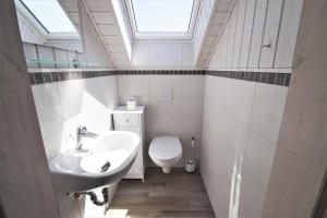 a bathroom with a sink and a toilet with a skylight at Seeschwalbe Classic 322 in Mirow