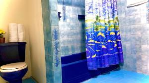 a bathroom with a shower and a toilet at Hospedaje Campestre Araucarias in Santa Rosa de Cabal