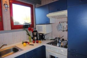 a small kitchen with blue cabinets and a sink at Wildgans 272 in Mirow
