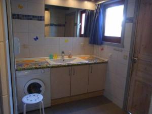 a bathroom with a sink and a washing machine at Wildgans 42 in Mirow +10 photos