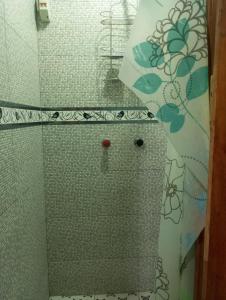 y baño con ducha y pared de azulejos. en ALOJAMIENTO PICSHA EXPEDITIONS, en Huaraz