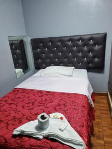 a bedroom with a bed with a red blanket and a mirror at Hostal Chavin in Lima