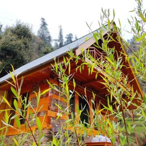 a house surrounded by trees and plants at Forest View Cottage in Jibhi