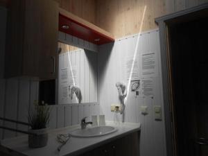a bathroom with a sink and a mirror at Haubentaucher 80 in Rechlin +17 photos