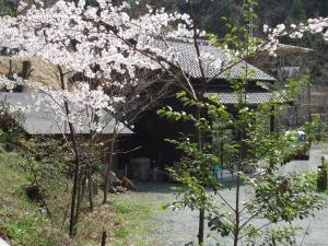 小国町にあるKominkaの建物前の花木のある庭園