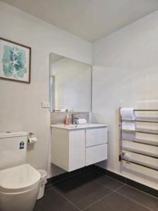une salle de bain avec toilettes, lavabo et miroir dans l'établissement Kingfisher Studio, à Lac Tekapo