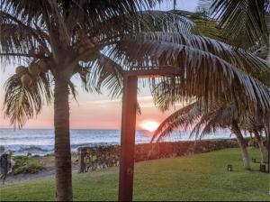 a view of the ocean from a beach with palm trees at Agradable estancia en Monterrico in Monterrico