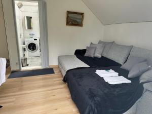 a living room with a bed and a couch at 2 chambres adjacentes dans villa avec jardin de pins in Commugny