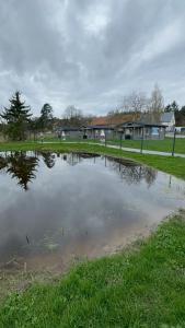 a pond of water in a field with houses in the background at Sosnowy Zakątek Stegna- domki letniskowe in Stegna