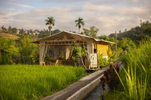 Ein Garten an der Unterkunft Camani Glamping