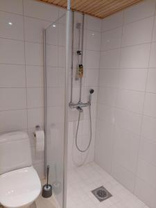 Kylpyhuone majoituspaikassa Kotimaailma Apartments Väinönkatu 15