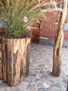 Foto sihtkohas San Pedro de Atacama asuva majutusasutuse Pirca Hostal galeriist