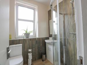 La salle de bains est pourvue d'une douche, de toilettes et d'un lavabo. dans l'établissement Little Ireland, à Stranraer