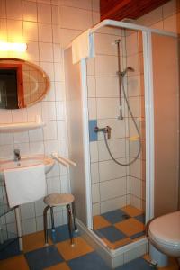 FeWo Waldkauz - Ulenhoef في بريرو: حمام مع دش ومرحاض ومغسلة