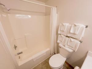 a white bathroom with a toilet and a shower at Silverwood Motel in Cavendish