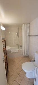 een badkamer met een douche, een toilet en een bad bij 321 Perfectly situated in Ouchy near IMD in Lausanne