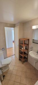 een badkamer met een wastafel, een toilet en een plank bij 321 Perfectly situated in Ouchy near IMD in Lausanne
