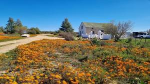 Φωτογραφία από το άλμπουμ του Wapad Gastehuis σε Nieuwoudtville