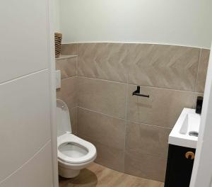 ein kleines Badezimmer mit Toilette und Waschbecken in der Unterkunft aux nids douillets mayetois "les tourtereaux" in Mayet-de-Montagne