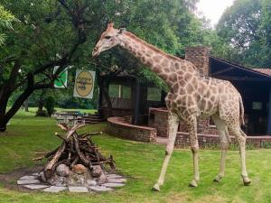 a giraffe standing next to a pile of logs at The Venue Country Hotel & Spa in Hartbeespoort