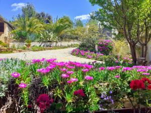 ラ・キャディエール・ダズールにあるGîte Vue Merの庭にピンクの花が咲き誇る庭