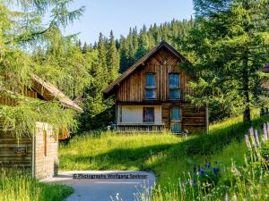 una cabaña de madera en una colina con flores delante en Beautiful Holiday Home in Weinebene with Sauna, en Posch Alpe
