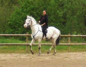 um homem montado num cavalo branco em frente a uma cerca em Christianslund em Randers