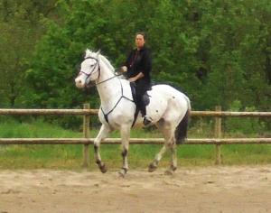 a man riding a white horse in front of a fence at Christianslund in Randers