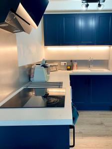 a kitchen with blue cabinets and a counter top at Les maisons des Frangines 