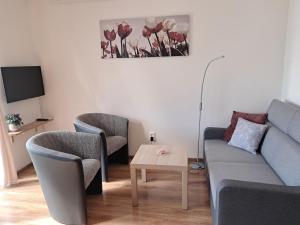 Posezení v ubytování Apartmany Rubin Nesvady