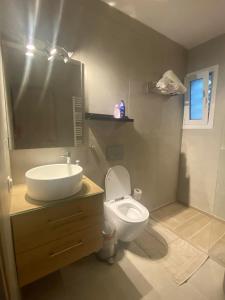 a bathroom with a white toilet and a sink at Miliannas in Athens +23 photos