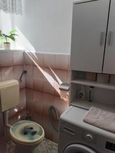 een badkamer met een wasmachine en een wastafel bij Apartman Temais in Duga Resa