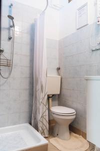 ein Bad mit einem WC und einer Dusche in der Unterkunft Apartma Roner in Podbrdo