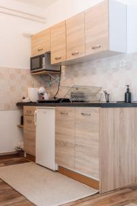 Kuchyň nebo kuchyňský kout v ubytování Apartma Roner