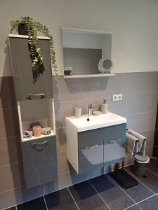 W łazience znajduje się umywalka i lustro. w obiekcie Ferienwohnung Krokus w mieście Drebach